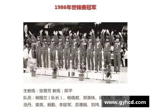 体育明星传奇大事记：从起步到巅峰的辉煌历程与成就