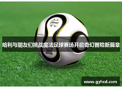 哈利与朋友们挑战魔法足球赛场开启奇幻冒险新篇章