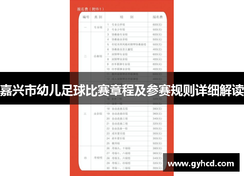 嘉兴市幼儿足球比赛章程及参赛规则详细解读