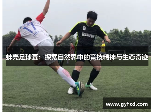 蚌壳足球赛：探索自然界中的竞技精神与生态奇迹